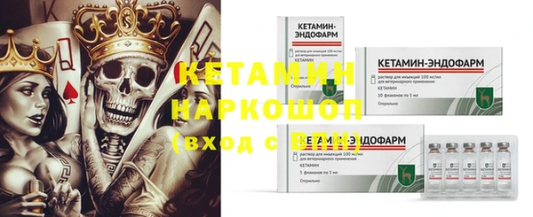 крисы Арсеньев