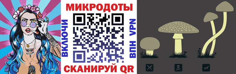 MEGA ссылка  наркотики  Семилуки  Галлюциногенные грибы мицелий 